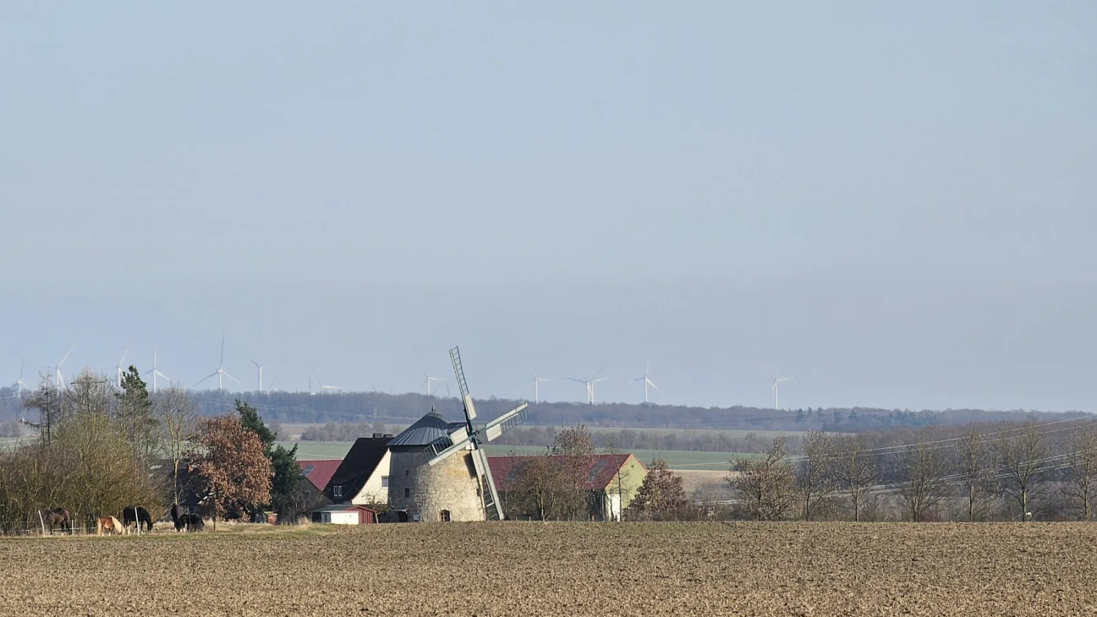 Historische Windmühle und Häuser hinter einem weiten Acker.