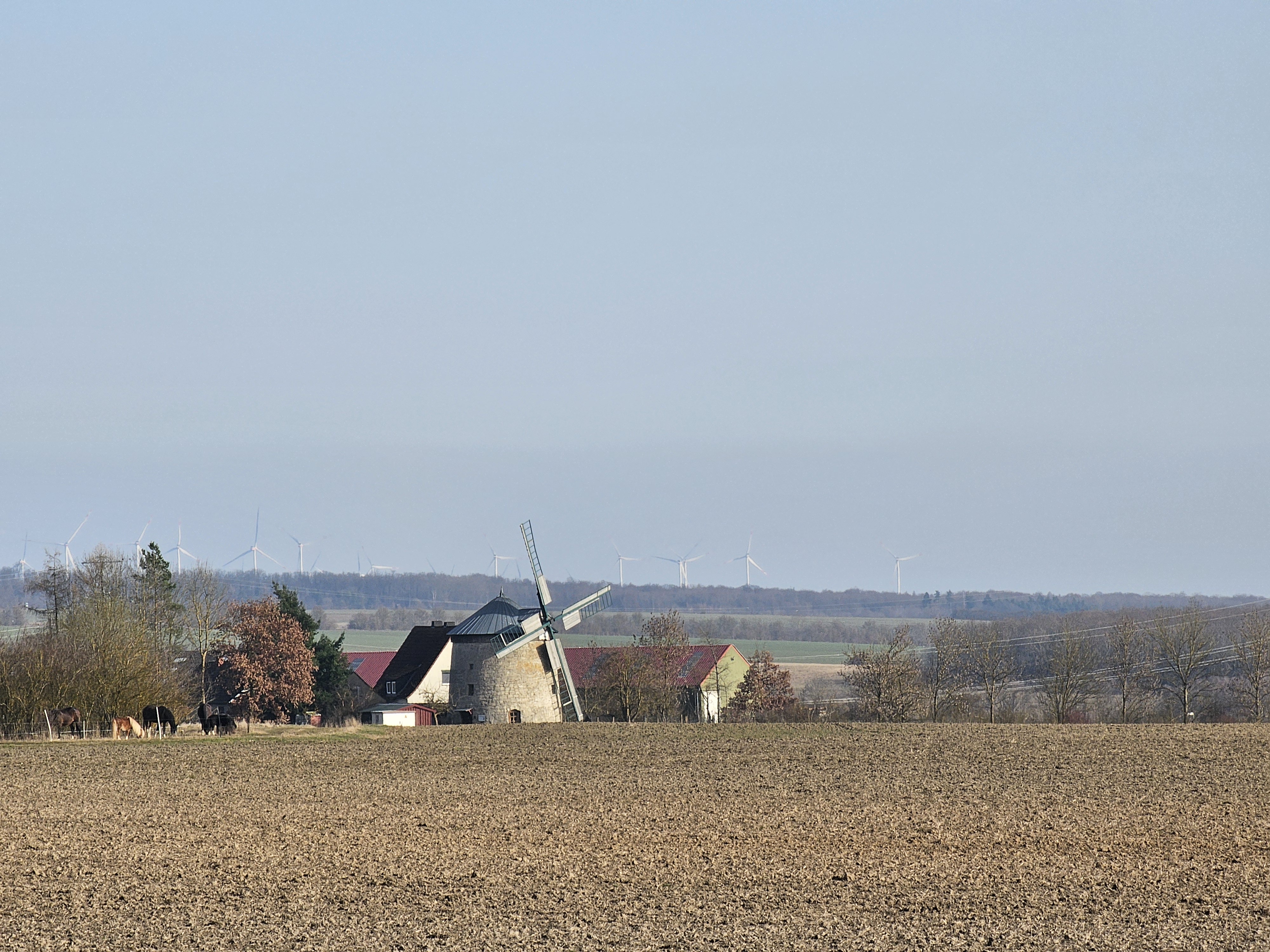 Windmühle Immenrode